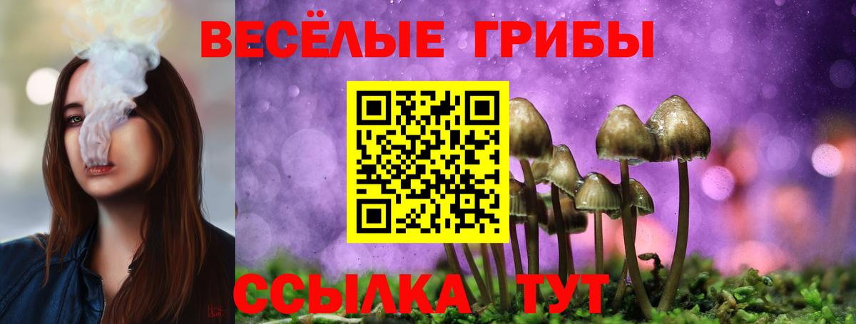 Псилоцибиновые грибы Cubensis Отрадный