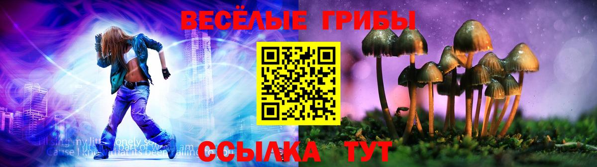 Псилоцибиновые грибы Psilocybine cubensis  Галлюциногенные грибы прущие грибы  Отрадный  Вход с VPN 
